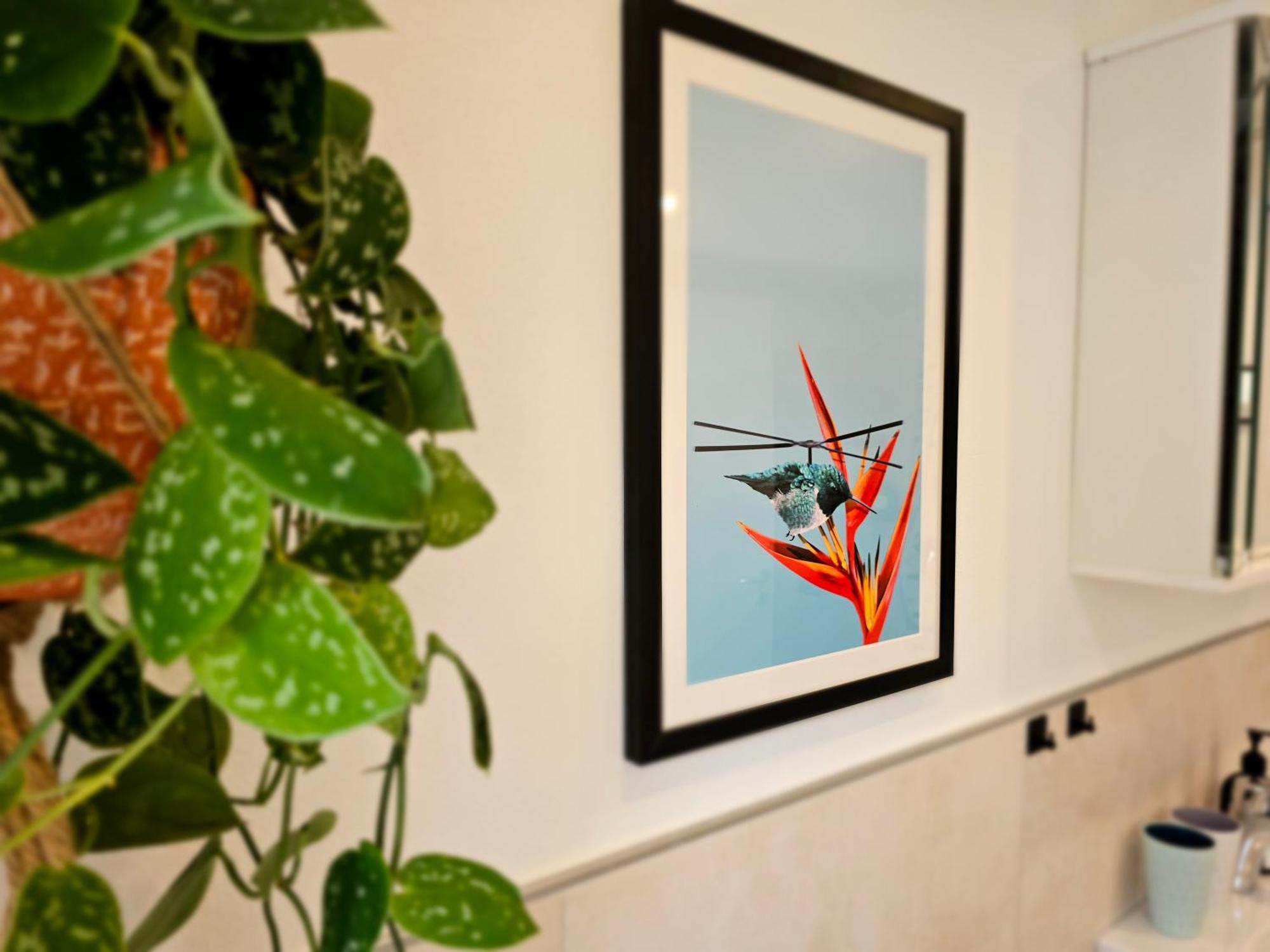 Kolibri - Design Maisonette - Nintendo Switch, Streaming, Bikestore, E-Wallbox Marburg Eksteriør billede